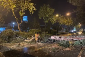 FOTOĞRAF (2)