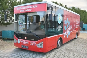 Vetbus (3)
