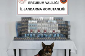 erzurum