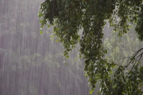 hava durumu yağmur