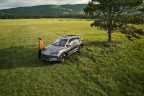 byd (1)