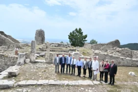 IV. Uluslararası FoodFest Gastronomi Festivali domates hasadı ile başladı (12)