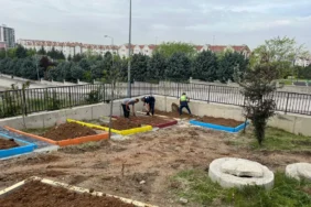 DOĞA İLE EĞİTİM (2)
