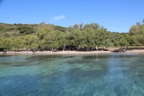 bodrum_belediyesi_adaboğazı’ndaki_kaçak_yapilar_yikildi (1)