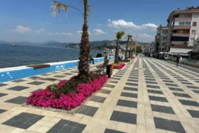 bursa çiçek 3