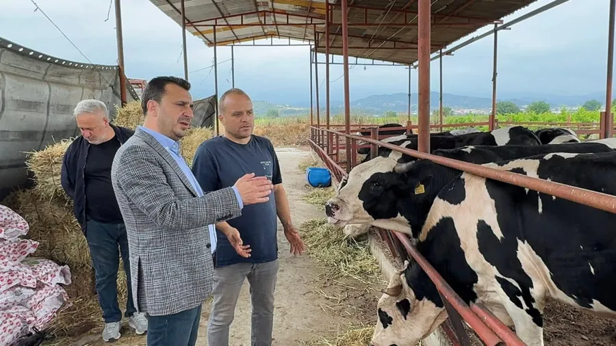 Besiciler İsyan Ediyor: “Başka Bir İşle Uğraşabilsek Bu İşi Bırakacağız” 1