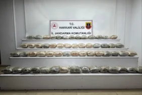 hakkari valiliği
