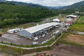ordu kurban bayramı 2