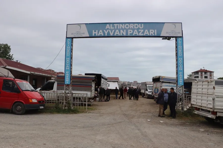 Ordu'da Kurban Bayramında 7 İlçede Veteriner Kontrolünde Kesim Yapılacak 2 Ordu'da Kurban Bayramında 7 İlçede Veteriner Kontrolünde Kesim Yapılacak 2
