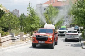 veterinerlik ilaçlama (9)