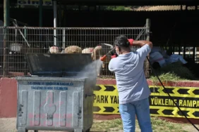 Kurban Bayramı Öncesi Karasinek Oluşumuna Karşı İlaçlama  (4)