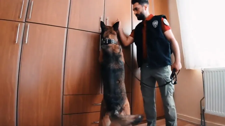 Tunceli'de Uyuşturucu Operasyonu: 8 Şüpheli Gözaltına Alındı 1