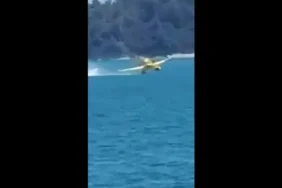adana