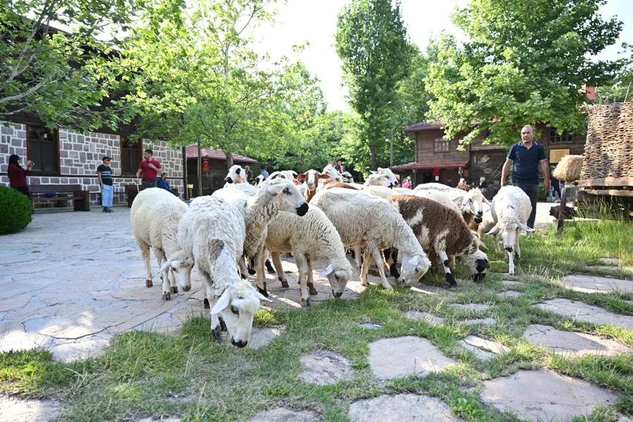 Altındağ Belediyesi'nin Eseri 'Altınköy' Resmen Müze Oldu 1 Altındağ Belediyesi'nin Eseri 'Altınköy' Resmen Müze Oldu 1