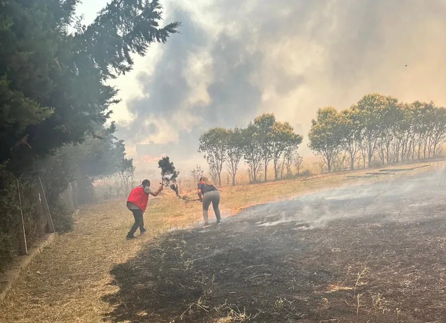 Foça-Aliağa arasında çıkan yangına müdahale sürüyor 1 Foça-Aliağa arasında çıkan yangına müdahale sürüyor 1