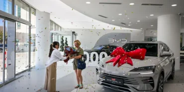 byd (1)