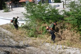 Su depolarının çevresinde yangın riskine karşı temizlik (8)