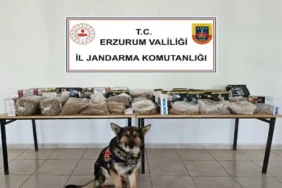 erzurum valiliği