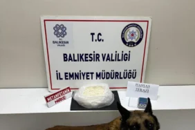 balıkesir edremit