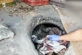 batman uyuşturucu