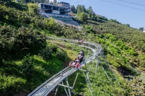 ordu dağ kızağı
