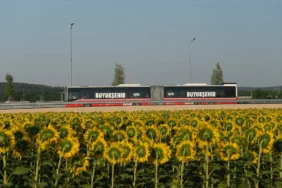 sakarya metrobüs 2