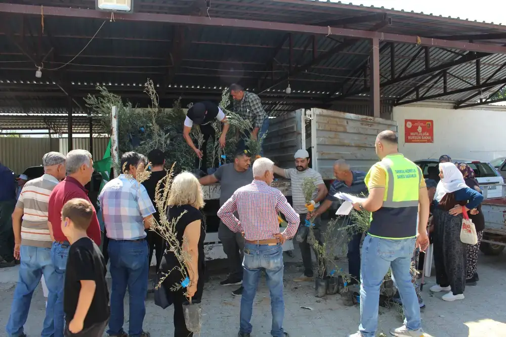 Antalya Büyükşehir Belediyesi’nden Üreticiye Zeytin Fidanı Desteği 1 Antalya Büyükşehir Belediyesi’nden Üreticiye Zeytin Fidanı Desteği 1