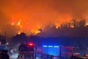 bursa orman yangını 2