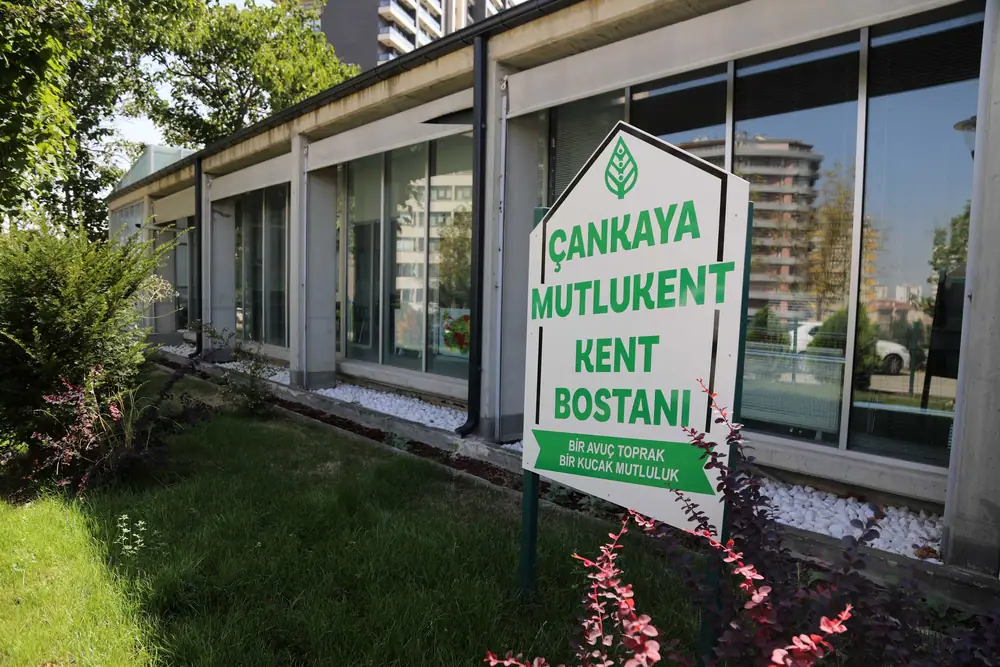 Çankaya Belediyesi Kent Bostanlarında İlk Hasat Başladı 1 Çankaya Belediyesi Kent Bostanlarında İlk Hasat Başladı 1