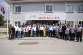 adana hayvan bakımevi 2