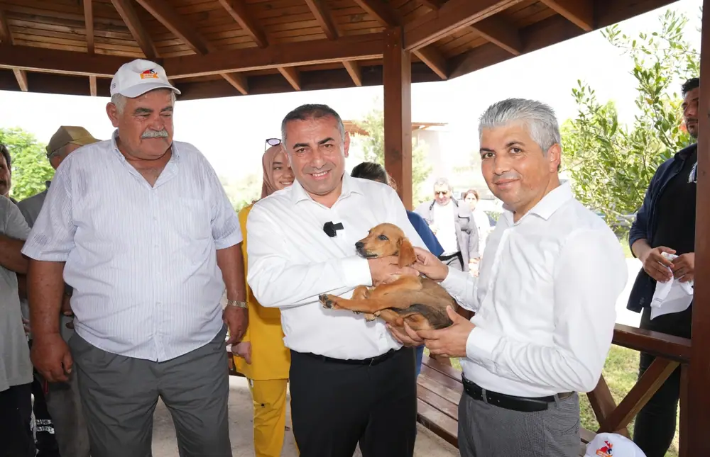 Adana Büyükşehir Belediye Başkan Vekili Güngör Geçer, Hayvan Bakımevi'nde İncelemelerde Bulundu 1 Adana Büyükşehir Belediye Başkan Vekili Güngör Geçer, Hayvan Bakımevi'nde İncelemelerde Bulundu 1
