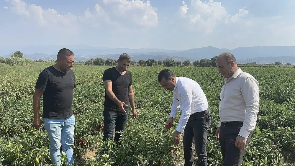 Çiftçi CHP'li Vekil Başevirgen'e Dert Yandı: Bu Düzen Çiftçiyi Bitirir 1