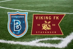 başakşehir - viking