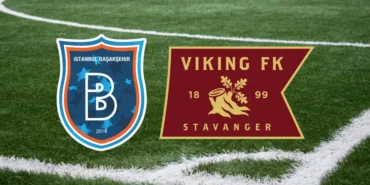 başakşehir - viking