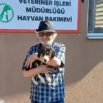 bolu sokak hayvanı sahiplendirme