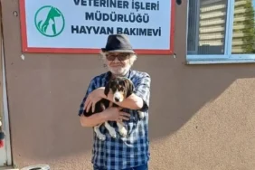 bolu sokak hayvanı sahiplendirme