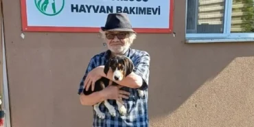 bolu sokak hayvanı sahiplendirme