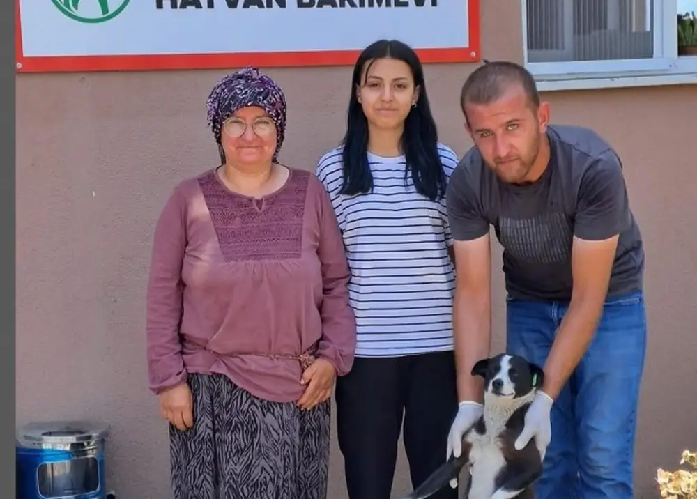 Bolu Belediyesi, Temmuz Ayında 10 Sokak Hayvanını Sahiplendirdi 1 Bolu Belediyesi, Temmuz Ayında 10 Sokak Hayvanını Sahiplendirdi 1
