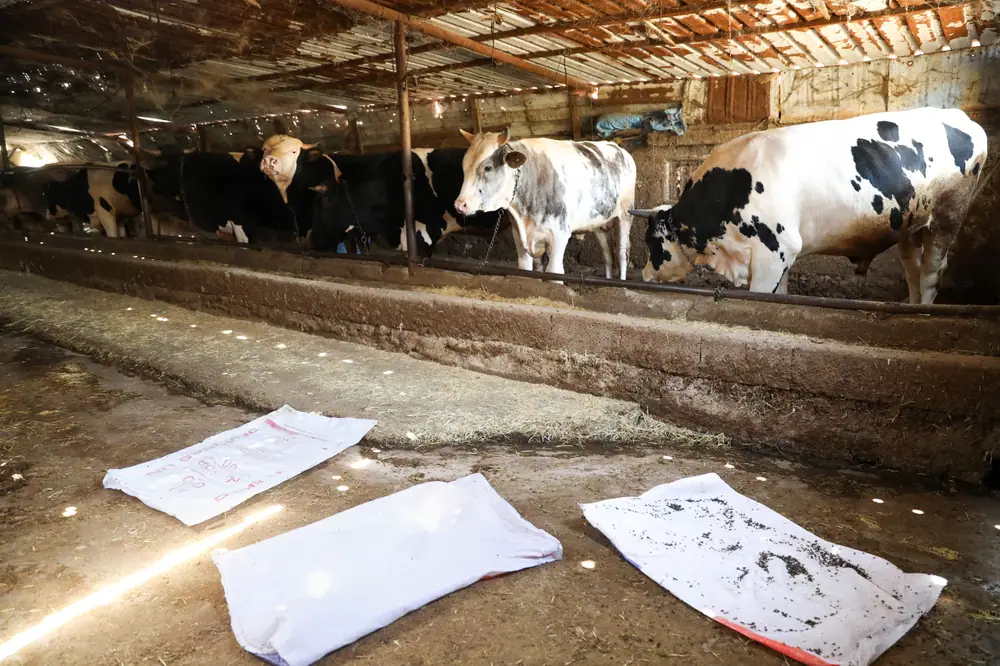 Etimesgut Belediyesi’nden Çiftçilere ve Hayvancılara Entegre Zararlı Yönetimi Bilgilendirmesi 1 Etimesgut Belediyesi’nden Çiftçilere ve Hayvancılara Entegre Zararlı Yönetimi Bilgilendirmesi 1