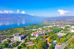 sakarya üniversitesi