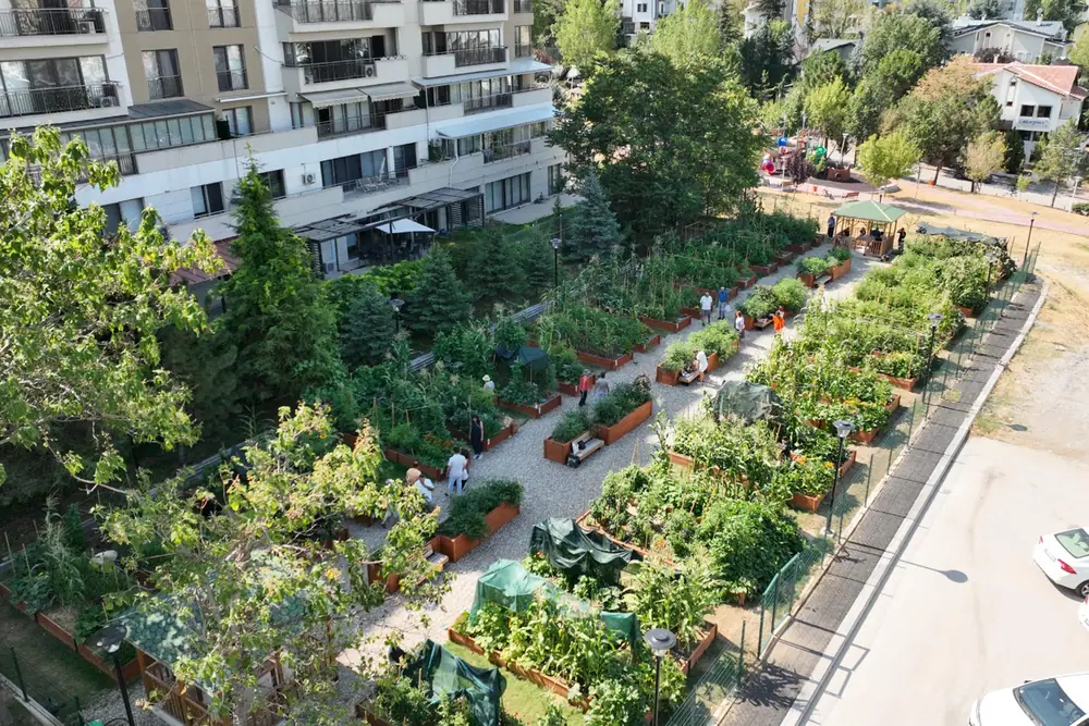 Çankaya'da Kent Bostanı Güz Eğitimleri Başlıyor 2 Çankaya'da Kent Bostanı Güz Eğitimleri Başlıyor 2