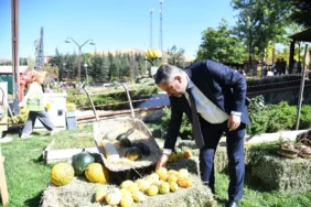 pursaklar tohum hasat (1)
