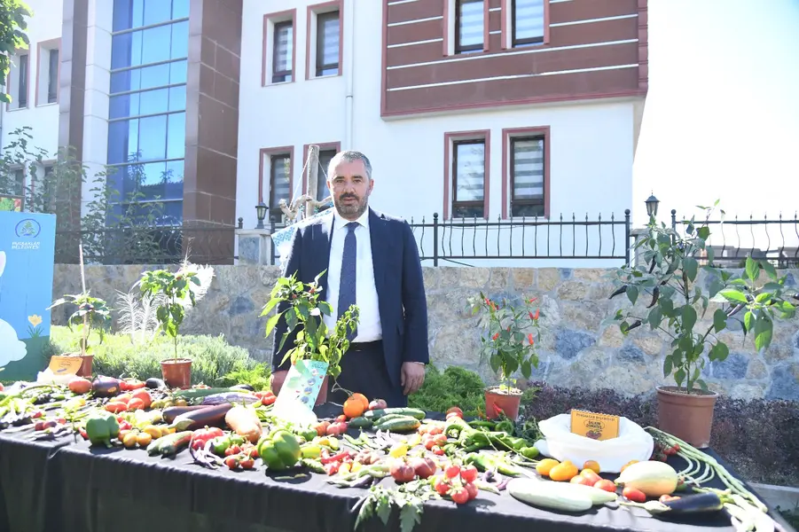 Pursaklar'da Ata Bahçesi'nde Tohum Hasadı Başladı 1 Pursaklar'da Ata Bahçesi'nde Tohum Hasadı Başladı 1