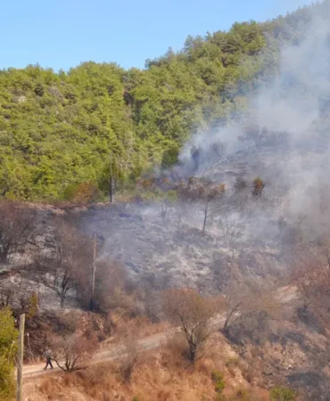 Alanya orman yangını (1)