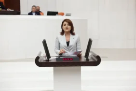 gülcan kış