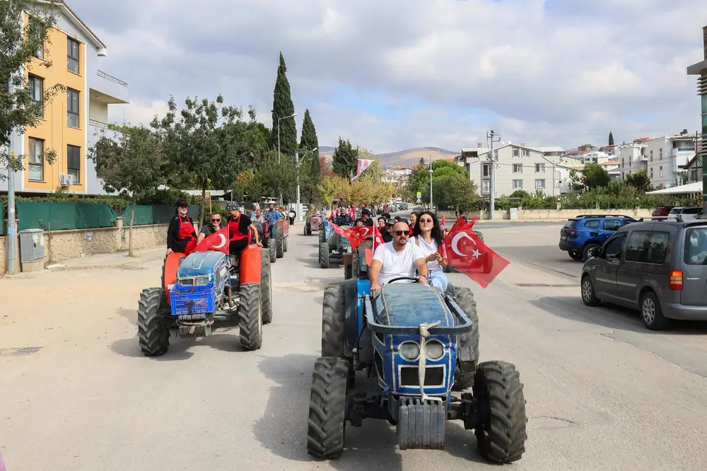 Gemlik'te 32. Uluslararası Zeytini Festivali Başlıyor 1 Gemlik'te 32. Uluslararası Zeytini Festivali Başlıyor 1