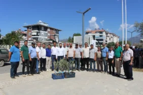 GAZİPAŞA FİDAN DAĞITIMI (3)