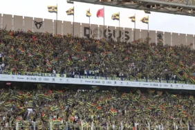 fenerbahçe şükrü saraçoğlu