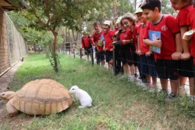 4 Ekim Dünya Hayvanları Koruma Günü (1)