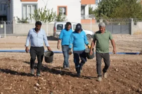 adıyaman sebze üretimi_1
